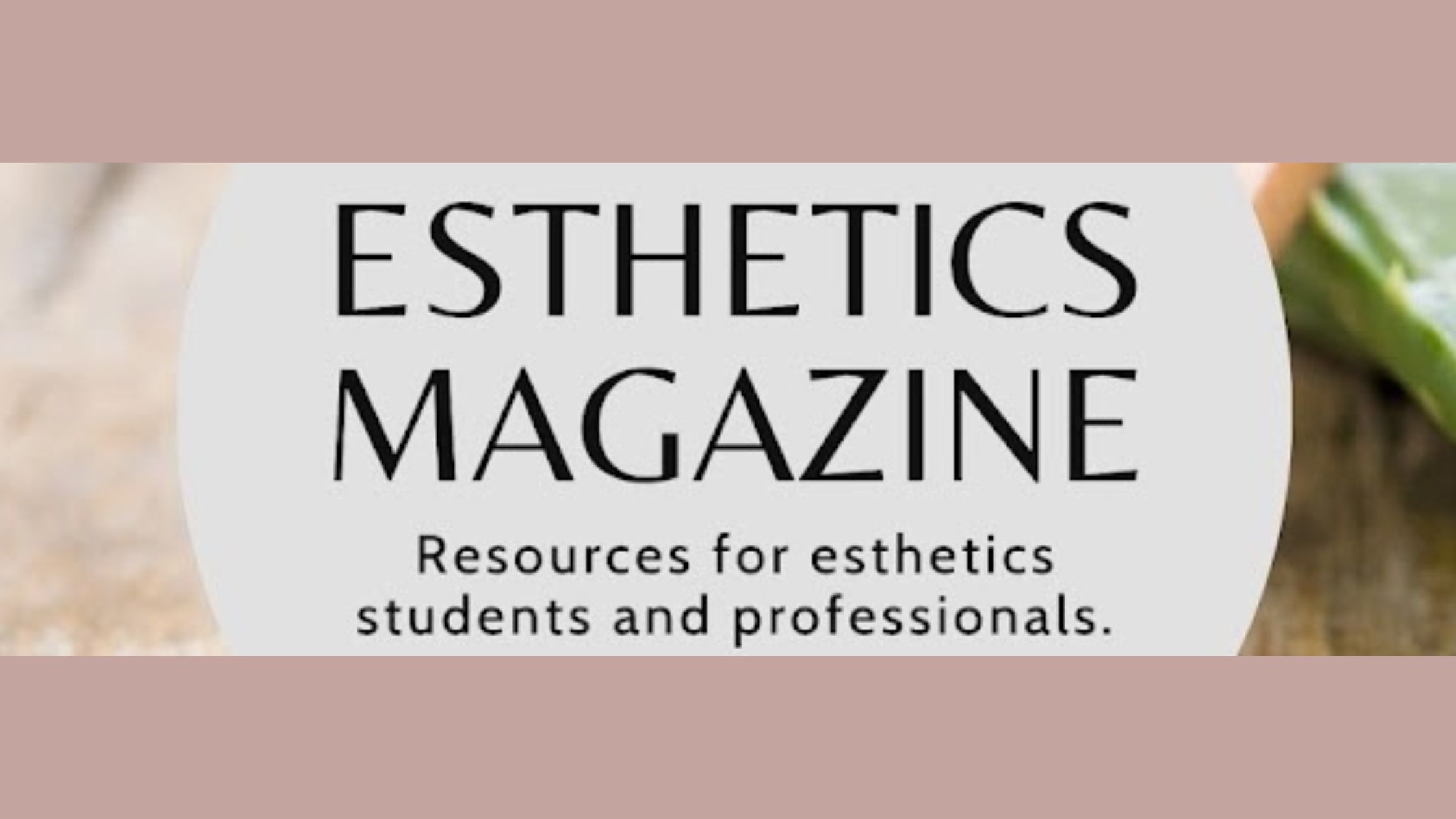SoCoBeautyCon Founding Partner: Esthetics Magazine